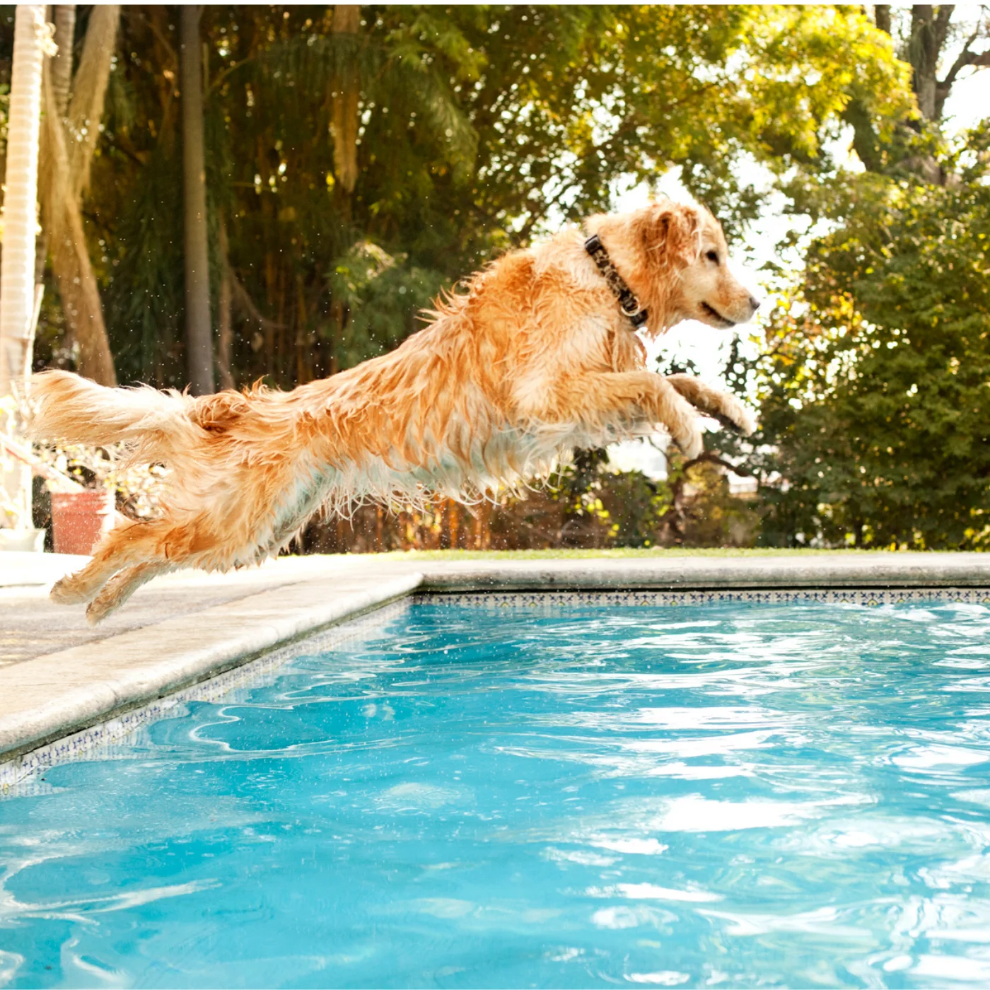 Well-maintained pool surfaces and water from consistent weekly care