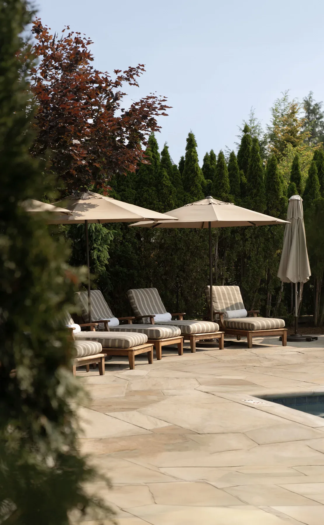 Luxury poolside lounge chairs with rolled towels under tan umbrellas